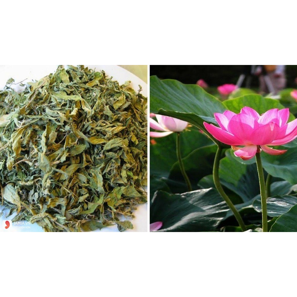 Lá Sen Khô 1KG hàng loại 1 xanh, thơm, sạch