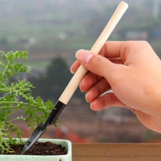 Sỉ 20 bộ chăm sóc cây cảnh mini