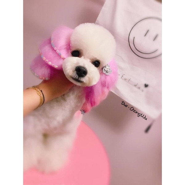 Màu nhuộm thú cưng Blooklyn-ChuChu Pet