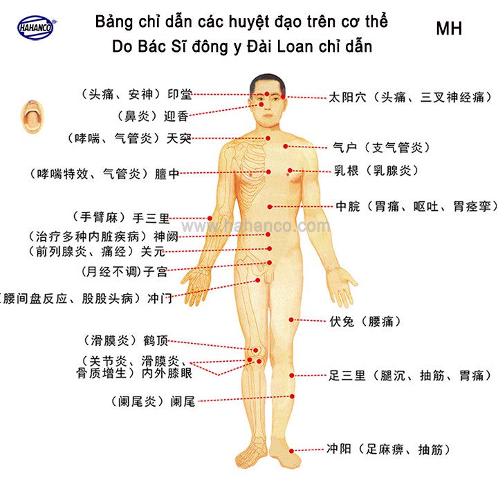 Dụng cụ điện chẩn -MÁT XA DAY ẤN HUYỆT GAN /MẬT BẰNG SỪNG khía đả thông kinh mạch [MH821B] HAHANCO