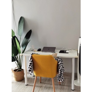 Bàn Gỗ IKEA CHÍNH HÃNG Làm Việc Học Tâp Bàn Gaming Decor Góc Setup Trang Trí Phòng Ngủ
