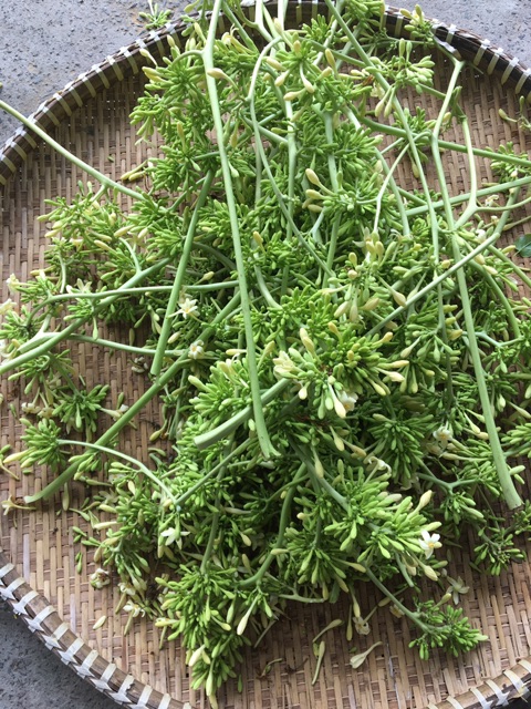 Hoa đu đủ đực khô tươi loại 100g