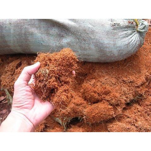 [SIEURE] Xơ dừa nghiền (mùn dừa) túi nhỏ (500gr) hàng đẹp, phân phối chuyên nghiệp.