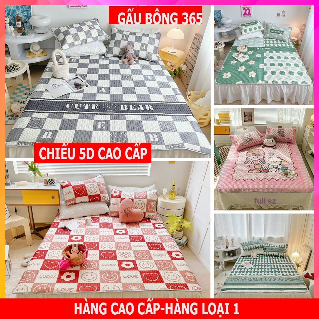 Chiếu điều hòa cao su non, Chiếu cao su non 5D hàng nhập cao cấp,hàng dày đẹp