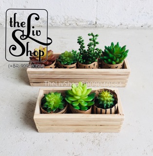 Chậu gỗ trồng cây (20cm)