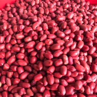 1kg lạc đỏ quê bóc tay thơm ngon (Sẵn 1 ít, nhận rang từ 2kg)