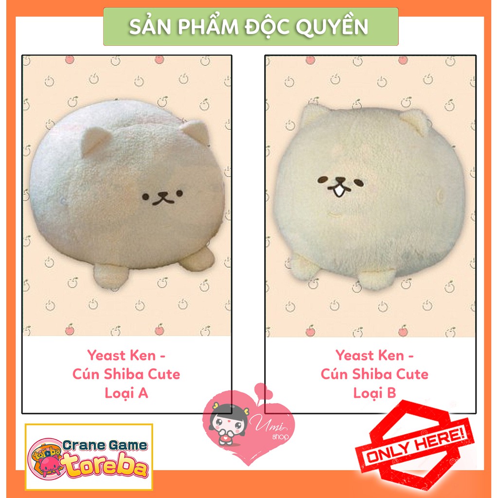 Gấu bông Toreba