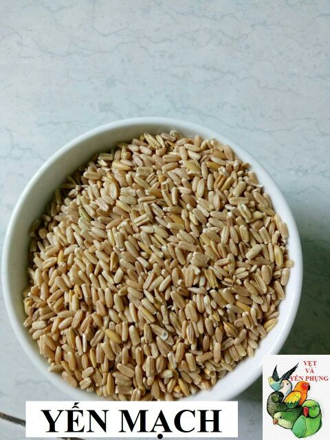 1kg hạt trộn gồm 9 loại hạt dành cho LOVEBIRD, LINNIE, PARROTLET