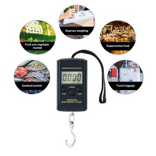 Cân Treo Điện Tử 40kg