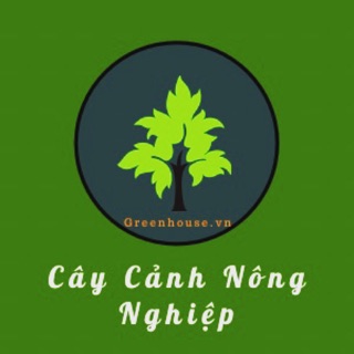Green House - Ngôi nhà xanh