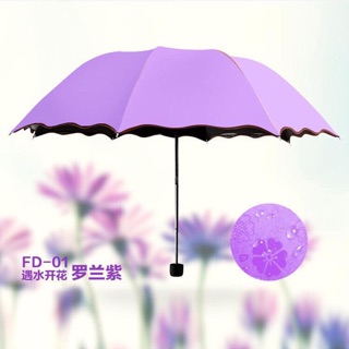 ☔️☔️☔️Ô GẤP NỞ HOA
