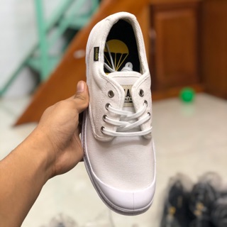 Giày palladium Pampa oxford