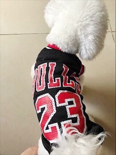 Áo thun lưới logo Bulls 23💪🏻