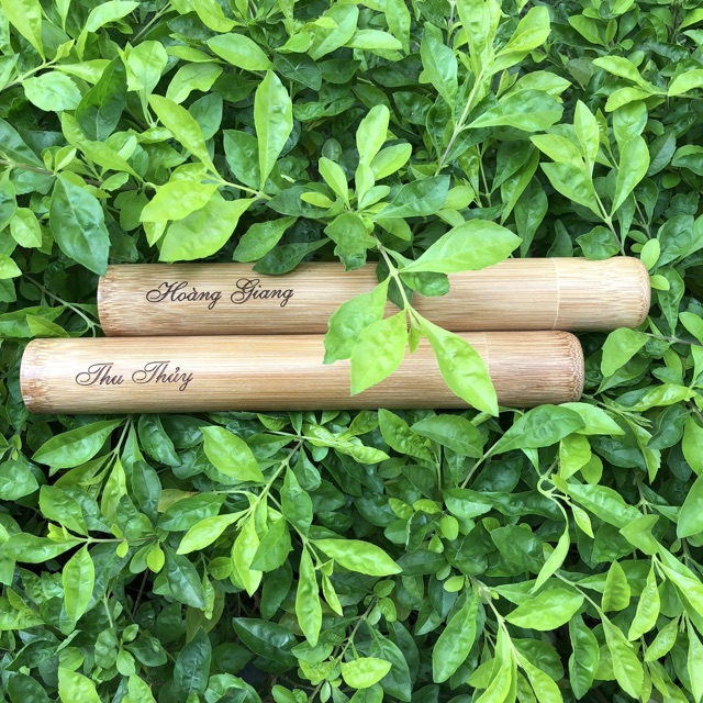 Ống Tre Du Lịch