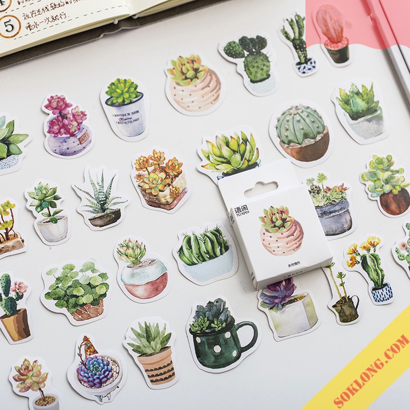 Sticker Hoa đá, cây xương rồng 50 miếng STI51 hộp nhãn dán trang trí bullet journal, thiệp handamde