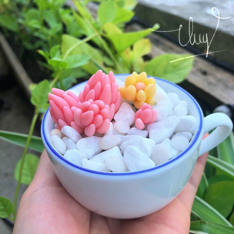 SEN ĐÁ ĐẤT SÉT/Quà Tặng Dễ Thương