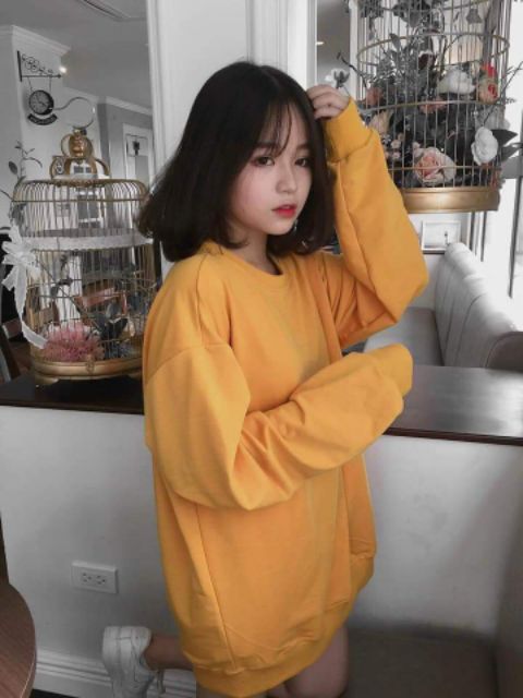 Áo Nỉ Bông Chui Đầu Trơn Sweater Tay Dài