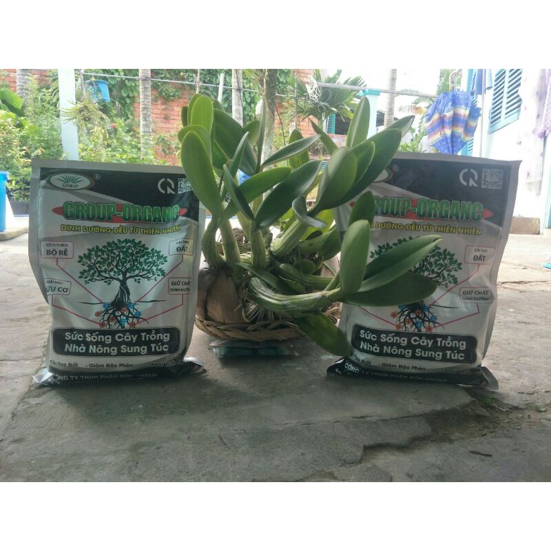 Phân bón hữu cơ sinh học oganic áo humic túi 1kg chuyên dùng cho cây kiểng rau màu