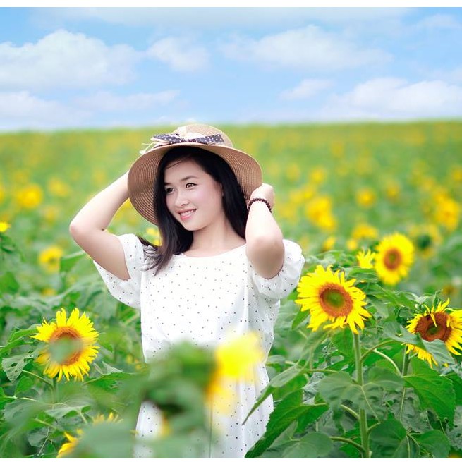 Hạt Giống Hoa hướng dương Cắt - 1 gói 30 hạt