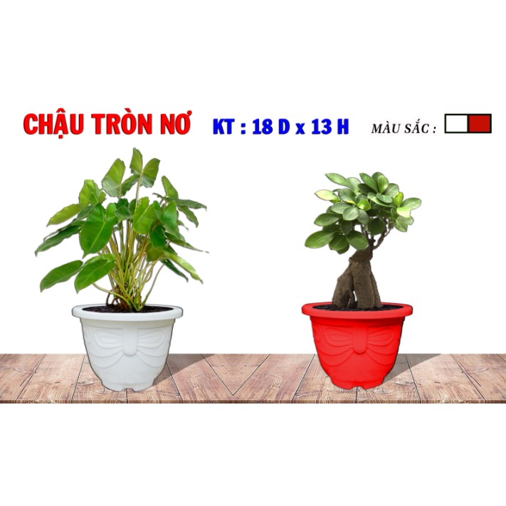 Chậu Nhựa Tròn Nơ 18x13cm Trồng Cây, Hoa Kiểng