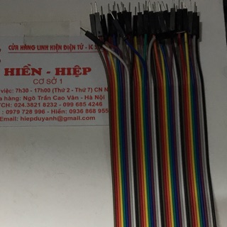 Dây cáp bẹ 2 đầu đực 40 chân