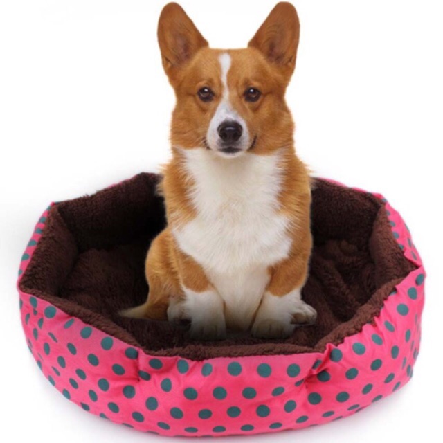 Đệm Ngủ Mềm ,Ấm Áp Cho Thú Cưng