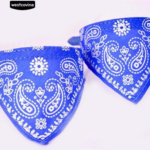 Vòng Cổ + Khăn Choàng Cổ Dành Cho Thú Cưng