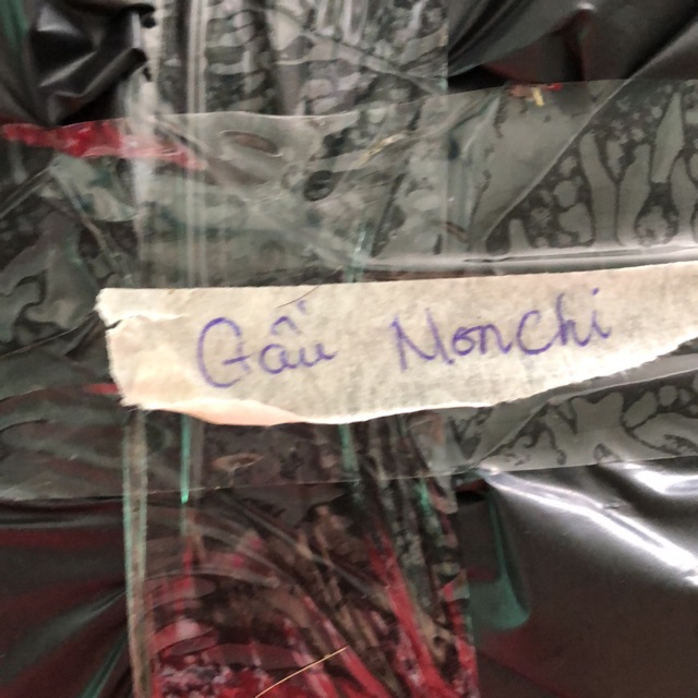 Gấu bông mon chi