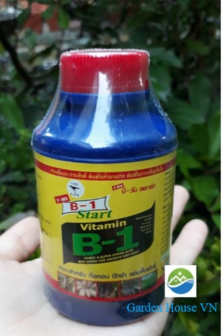 Vitamin B1 Xanh Thái Lan – Kích rễ, chống sốc cho cây