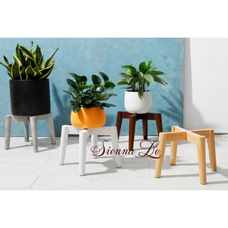 Sienna Le Giá Đỡ Chậu Cây, Đôn Gỗ Để Chậu Hoa Để Bàn - Cao 19 cm x Rộng 24 cm (Không bao gồm chậu hoa) ko