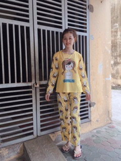 Đồ bộ mặc nhà nhiều hình
