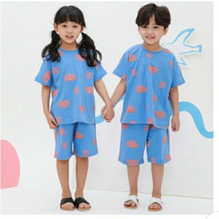 - Bộ cotton Ppippilong VN xuất Hàn