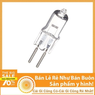 Bóng Đèn Xông Tinh Dầu Halogen Thay Thế Sửa Chữa Đèn Hỏng (12V và 220V)