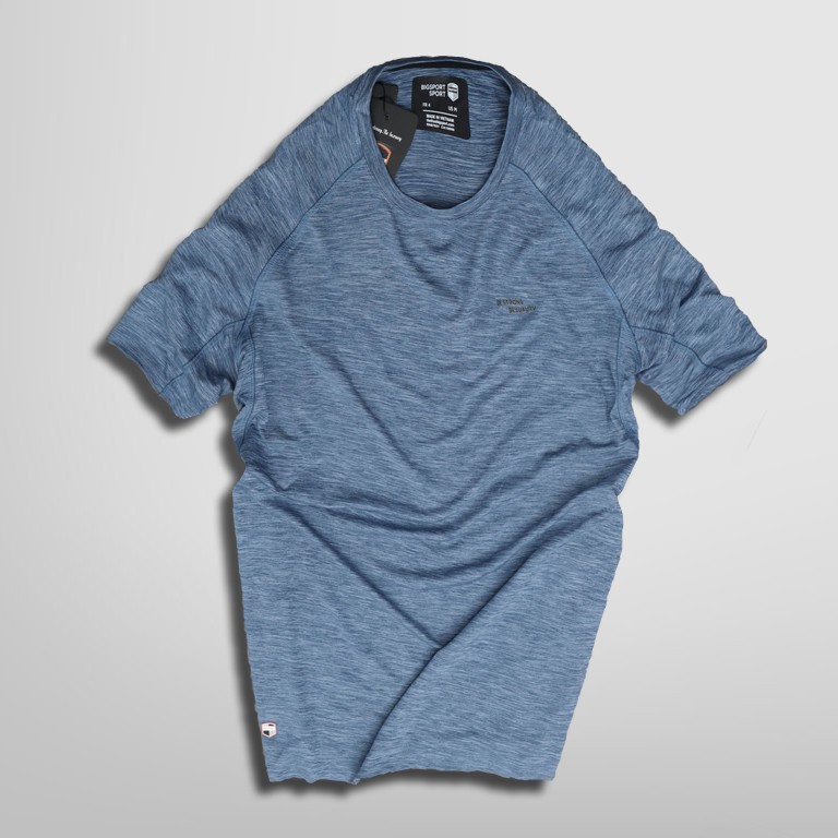 Áo Thun Nam Thể Thao Mặc Ở Nhà Cổ Tròn Vải Poly Cao Cấp Basic Áo Phông Nam Chạy Bộ Tập Gym - Big Sport, BS12 | BigBuy360 - bigbuy360.vn