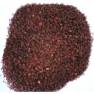 Hạt giống cây bạch đàn đỏ - 50gram - STHG2
