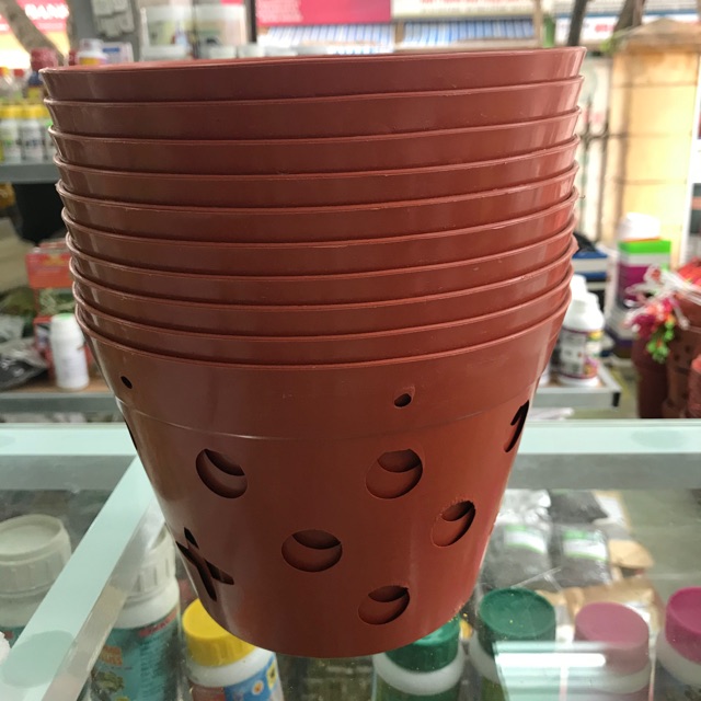 10 chậu giả đất nung phi 20