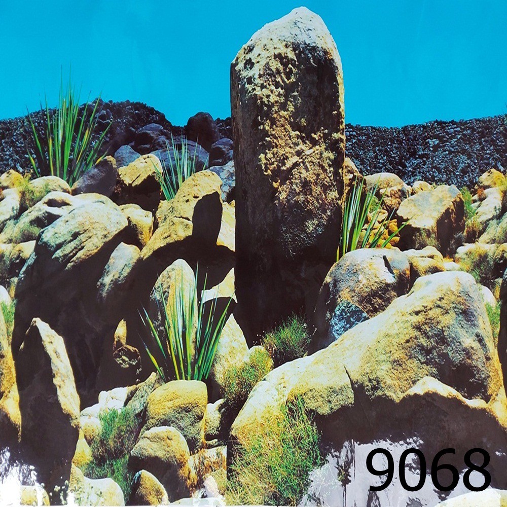 Decal dán bể cá không có keo, kích thước 50 x 100 cm