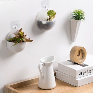 Chậu trồng cây treo tường mini