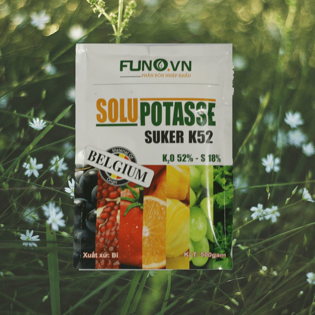 Phân bón hữu cơ nuôi trái lên màu Kali Suker K52 gói 500gr