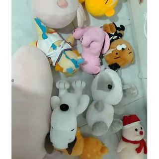 Gấu bông sammy