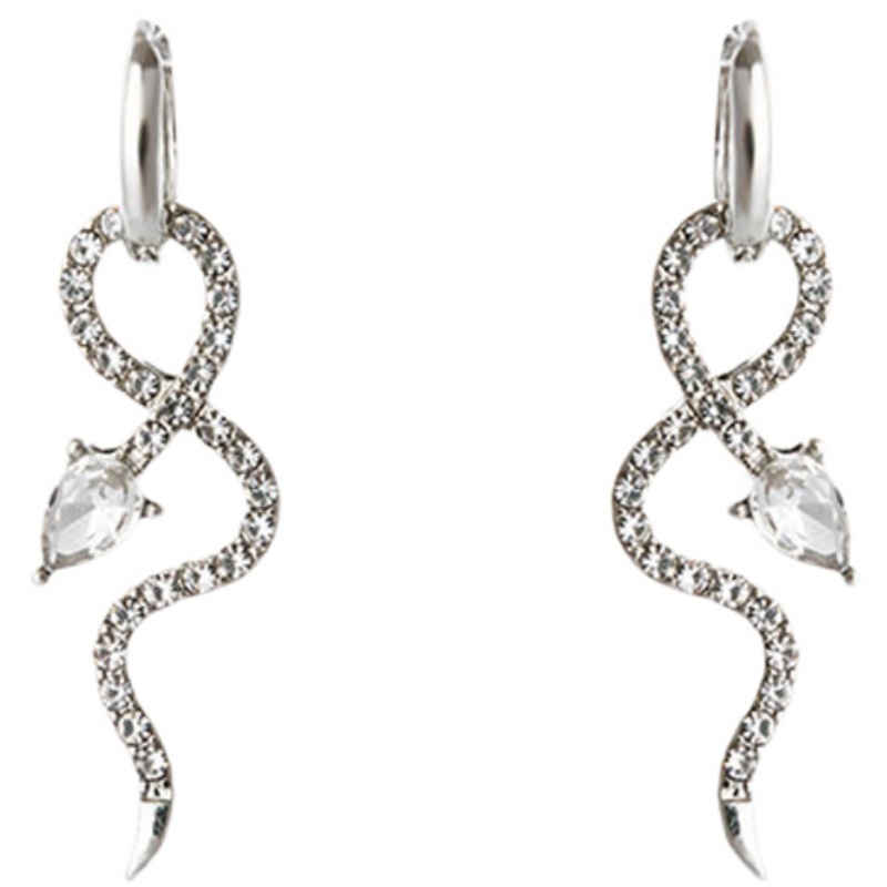 Bông Tai Hình Rắn Thời Trang Đường Phố Hàn Quốc