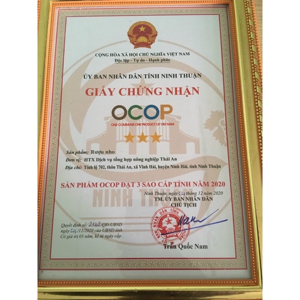 MẬT NHO THÔN THÁI AN, NHO LÊN MEN THÔN THÁI AN