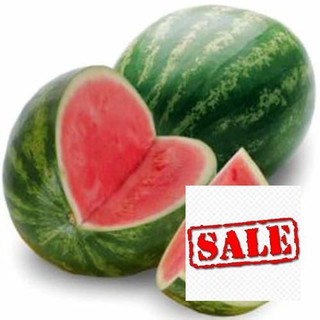 Hạt giống dưa hấu ruột đỏ 20 hạt SALE