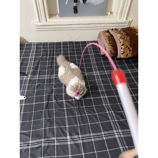 Cần câu mèo lông vũ ( đồ chơi mèo )