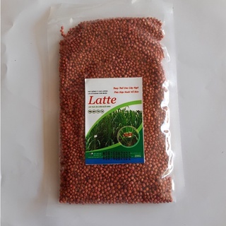 , giống cỏ sudan lai, giống cỏ ngô, giống cỏ chăn nuôi năng suất cao