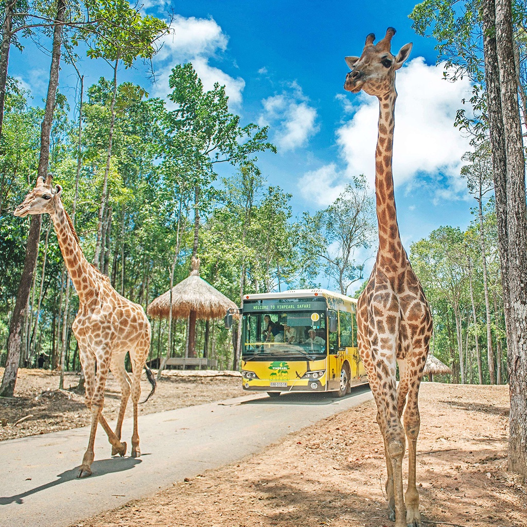 Vé tham quan Vinpearl Safari Phú Quốc - Combo 02 vé Người Lớn - 2022 - BestPrice