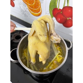 Gà Ta Thả Vườn