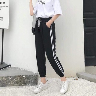 Quần thun nữ 2 sọc chun gấu HARI