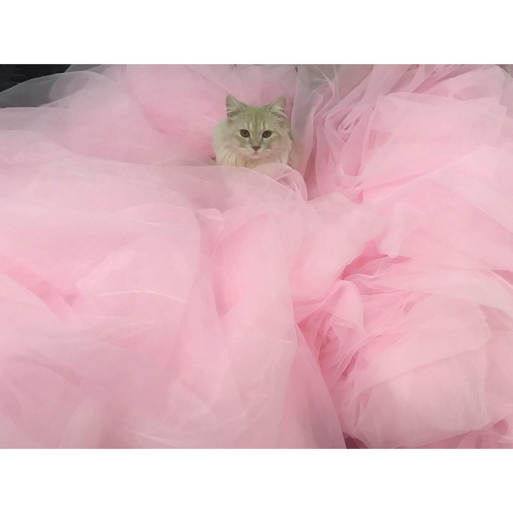 ⚡Sỉ tận gốc⚡Vải voan kính Mỹ, voan organza óng ánh chuyên may váy áo xòe, làm hoa, decor