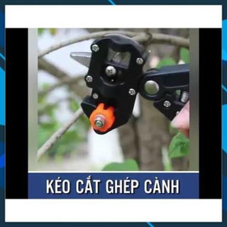 Kéo cắt ghép cây, Kìm cắt chiết mắt ghép cây (loại 1) [Có Sỉ]